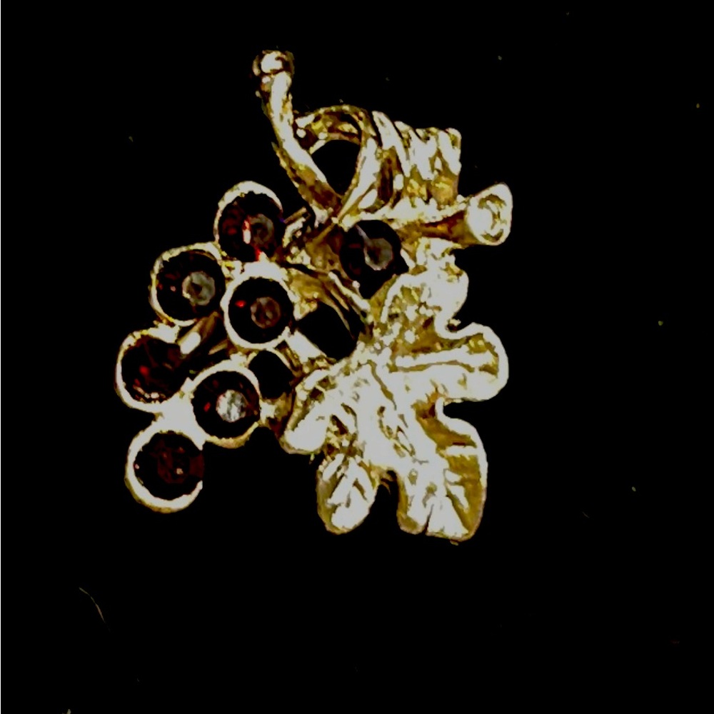 Bijoux by Meera Grape and Leaf Brooch